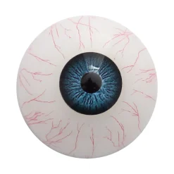 marielove Zubehör Für Dolls|Augen Ersatz für Dolls in vielen Farben